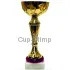 Купить золотистый кубок K703C в интернет-магазине kubki-olimp.ru и cup-olimp.ru Фото 0