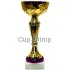 Купить золотистый кубок K703B в интернет-магазине kubki-olimp.ru и cup-olimp.ru Фото 0