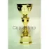 Кубок с гравировкой на заказ и cup-olimp.ru кубок AN229C в интернет-магазине kubki-olimp.ru и cup-olimp.ru Фото 0