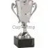 Кубок призовой SET.168.02.B в интернет-магазине kubki-olimp.ru и cup-olimp.ru Фото 0