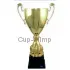 Кубки наградные спортивные 3066A (1) в интернет-магазине kubki-olimp.ru и cup-olimp.ru Фото 0