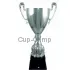 Кубок престижный 3067E (5) в интернет-магазине kubki-olimp.ru и cup-olimp.ru Фото 0