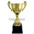 Заказать кубок с надписью РУС1109H (8) в интернет-магазине kubki-olimp.ru и cup-olimp.ru Фото 0