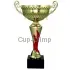 Надпись на кубке 7049C-G (3) в интернет-магазине kubki-olimp.ru и cup-olimp.ru Фото 0