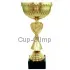 Заказать кубок с гравировкой 8072D (4) в интернет-магазине kubki-olimp.ru и cup-olimp.ru Фото 0