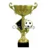 Купить спортивный кубок футбол 8080A (1) в интернет-магазине kubki-olimp.ru и cup-olimp.ru Фото 0