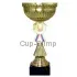 Бюджетный  Кубок 9120A (1) в интернет-магазине kubki-olimp.ru и cup-olimp.ru Фото 0