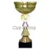 Бюджетный  Кубок 9120A (1) в интернет-магазине kubki-olimp.ru и cup-olimp.ru Фото 0