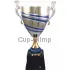 Заказать кубок с гравировкой 1021B (2) в интернет-магазине kubki-olimp.ru и cup-olimp.ru Фото 0
