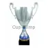 Заказать кубок с гравировкой 3069C (3) в интернет-магазине kubki-olimp.ru и cup-olimp.ru Фото 0