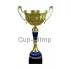 Сделать гравировку на кубке 3086G (7) в интернет-магазине kubki-olimp.ru и cup-olimp.ru Фото 0
