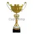 Подарочный кубок 3088 в интернет-магазине kubki-olimp.ru и cup-olimp.ru Фото 4