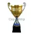 Наградной кубок с надписью 1010C (3) в интернет-магазине kubki-olimp.ru и cup-olimp.ru Фото 0
