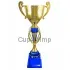 Заказать кубок с гравировкой 3096G (7) в интернет-магазине kubki-olimp.ru и cup-olimp.ru Фото 0