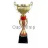 Кубок с надписью на заказ 3101E (5) в интернет-магазине kubki-olimp.ru и cup-olimp.ru Фото 0