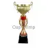 Кубок с надписью на заказ 3101D (4) в интернет-магазине kubki-olimp.ru и cup-olimp.ru Фото 0