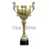 Заказать кубок с гравировкой 3105B (2) в интернет-магазине kubki-olimp.ru и cup-olimp.ru Фото 0