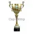 Заказать кубок с гравировкой 3105A (1) в интернет-магазине kubki-olimp.ru и cup-olimp.ru Фото 0