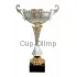 Купить кубок с надписью 4069F (6) в интернет-магазине kubki-olimp.ru и cup-olimp.ru Фото 0