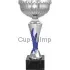 Надпись на кубке 7047E-S (5) в интернет-магазине kubki-olimp.ru и cup-olimp.ru Фото 0