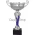 Купить кубок с надписью 7050A-S (1) в интернет-магазине kubki-olimp.ru и cup-olimp.ru Фото 0