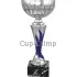 Заказать кубок с надписью в и cup-olimp.ru 7053D-S (4) недорого в интернет-магазине kubki-olimp.ru и cup-olimp.ru Фото 0