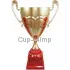 Кубок с надписью на заказ 1040A (1) в интернет-магазине kubki-olimp.ru и cup-olimp.ru Фото 0