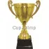 Кубок престижный 3013C (3) с крышкой в интернет-магазине kubki-olimp.ru и cup-olimp.ru Фото 0