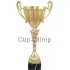 Подарочный кубок 7089 в интернет-магазине kubki-olimp.ru и cup-olimp.ru Фото 0