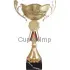 Купить спортивный кубок 7093D (4) в интернет-магазине kubki-olimp.ru и cup-olimp.ru Фото 0