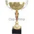 Купить наградные кубки в и cup-olimp.ru 7099D (4) в интернет-магазине kubki-olimp.ru и cup-olimp.ru Фото 0