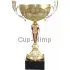 Купить наградные кубки в и cup-olimp.ru 7099A (1) в интернет-магазине kubki-olimp.ru и cup-olimp.ru Фото 0