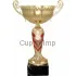 Заказать кубок с гравировкой 8078D (4) в интернет-магазине kubki-olimp.ru и cup-olimp.ru Фото 0