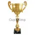 Гравировка на кубках и cup-olimp.ru РУС1113A (1) в интернет-магазине kubki-olimp.ru и cup-olimp.ru Фото 0
