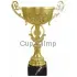 Сделать гравировку на кубке 346A в интернет-магазине kubki-olimp.ru и cup-olimp.ru Фото 0