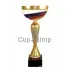Купить наградные кубки в и cup-olimp.ru РУС1120E (5) в интернет-магазине kubki-olimp.ru и cup-olimp.ru Фото 0