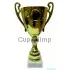 Заказать кубок с гравировкой K581A в интернет-магазине kubki-olimp.ru и cup-olimp.ru Фото 0