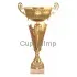 Бюджетный  Кубок 4144E (5) в интернет-магазине kubki-olimp.ru и cup-olimp.ru Фото 0