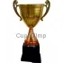 Заказать кубок с надписью в и cup-olimp.ru РУС1110F (6) с крышкой в интернет-магазине kubki-olimp.ru и cup-olimp.ru Фото 0