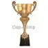 Заказать кубок с надписью в и cup-olimp.ru РУС1125 A недорого в интернет-магазине kubki-olimp.ru и cup-olimp.ru Фото 0