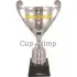 серебряный кубок 2002C в интернет-магазине kubki-olimp.ru и cup-olimp.ru Фото 0