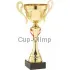 Надпись на кубке MT.036.68.A в интернет-магазине kubki-olimp.ru и cup-olimp.ru Фото 0