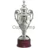 Кубок наградной купить GL2090.1 в интернет-магазине kubki-olimp.ru и cup-olimp.ru Фото 0