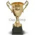 Купить золотистый кубок, серия D3674B в интернет-магазине kubki-olimp.ru и cup-olimp.ru Фото 0