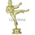 Подарочные кубки и статуэтки каратэ F99W в интернет-магазине kubki-olimp.ru и cup-olimp.ru Фото 0