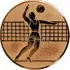 Вкладыш волейбол D1 A6/B в медали спортивные для детей в интернет-магазине kubki-olimp.ru и cup-olimp.ru Фото 0