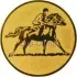 Вкладыш конный D2 A75  в медаль наградная спортивная в интернет-магазине kubki-olimp.ru и cup-olimp.ru Фото 0