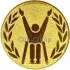 Вкладыш параолимпиец D2 A146  в медали спортивные для награждения в интернет-магазине kubki-olimp.ru и cup-olimp.ru Фото 0