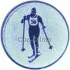 Купить вкладыш лыжи D2 a148 в медали спортивные для награждения в интернет-магазине kubki-olimp.ru и cup-olimp.ru Фото 1
