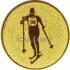 Заказать спортивные вкладыш лыжи am2-96-g в медали в интернет-магазине kubki-olimp.ru и cup-olimp.ru Фото 0